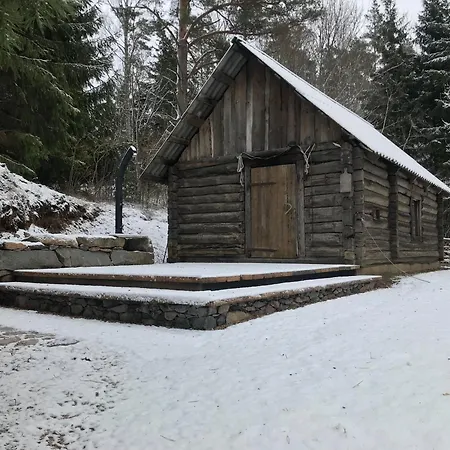 Ala-kure Metsamaja Chalet Varbuse