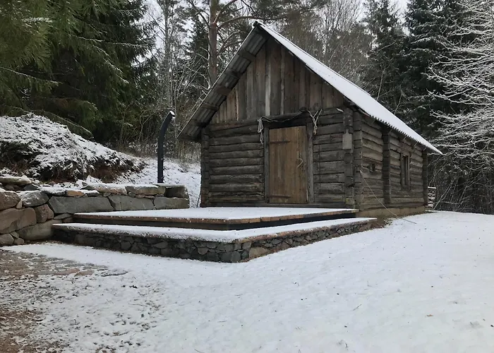 Ala-Kure Metsamaja Domek alpejski Varbuse